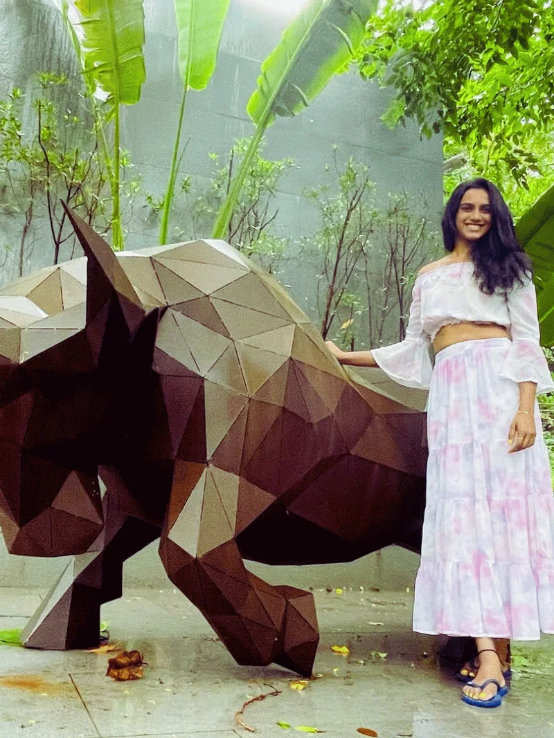 Raging Bull powerful metal sculpture in Goa, India, 2024